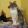 Отзыв от Тамара Воронцова